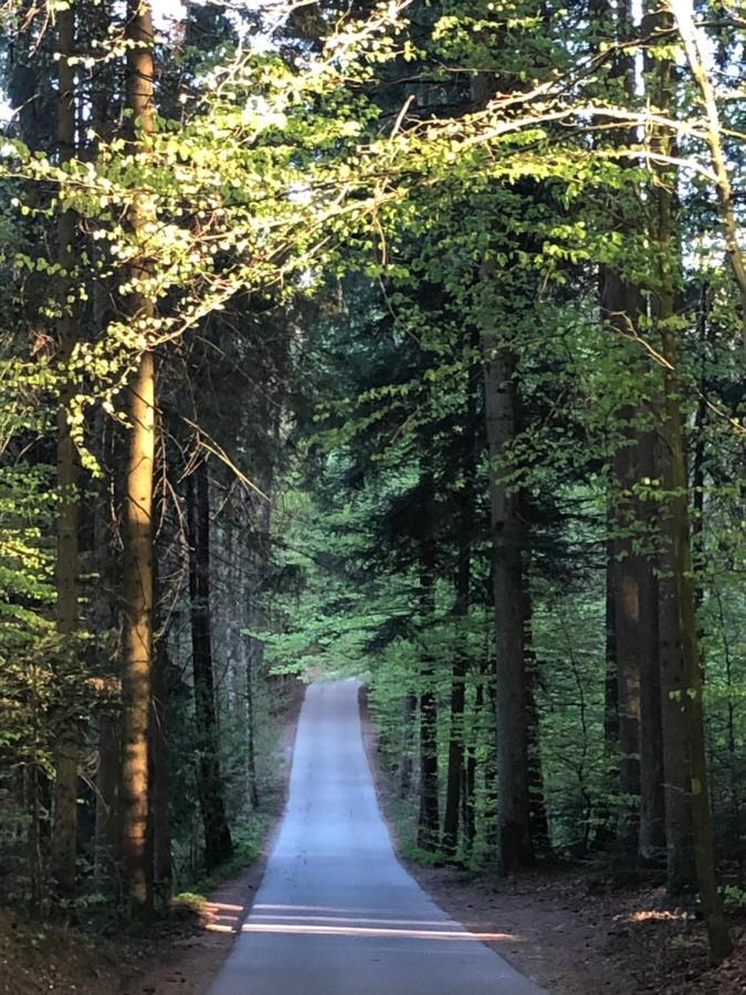 Wanderlust Chiemgau Lägenhet Bad Endorf Exteriör bild