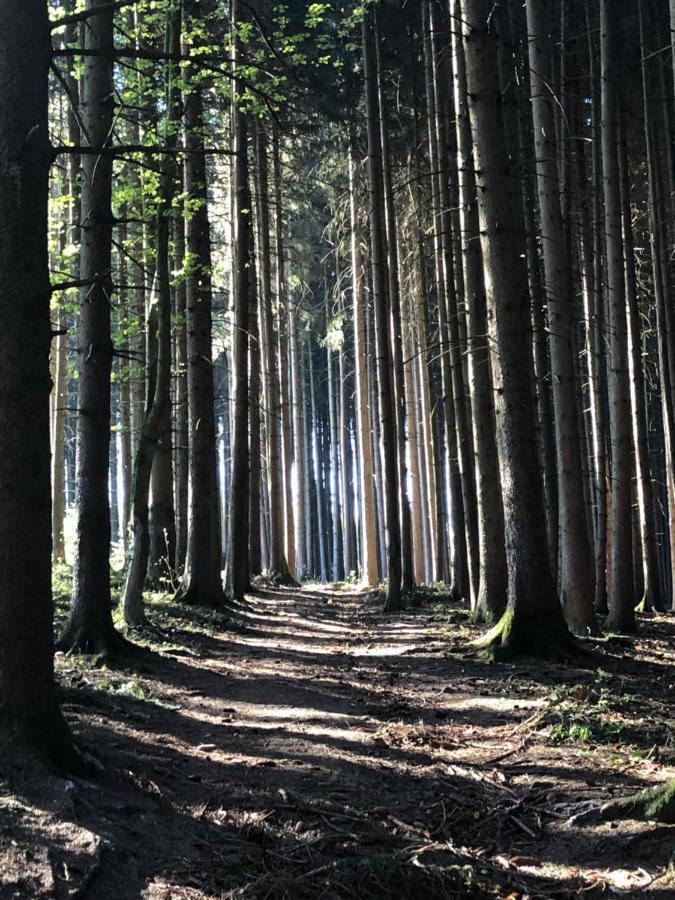 Wanderlust Chiemgau Lägenhet Bad Endorf Exteriör bild
