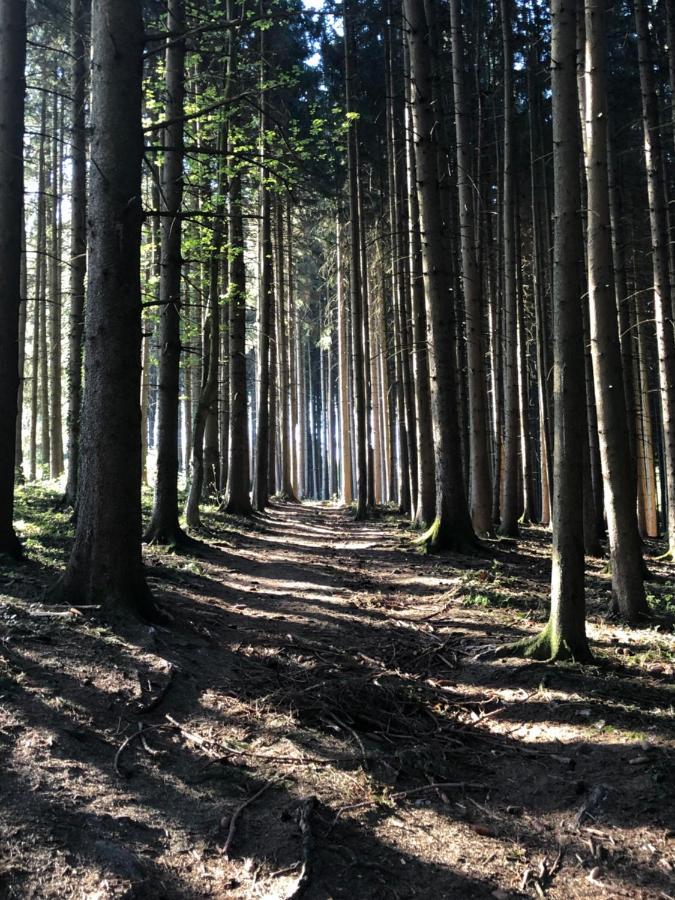Wanderlust Chiemgau Lägenhet Bad Endorf Exteriör bild